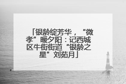 银龄绽芳华，“微孝”暖夕阳：记西城区牛街街道“银龄之星”刘茹月