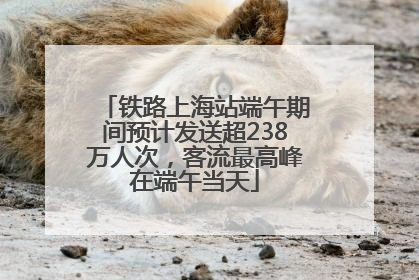 铁路上海站端午期间预计发送超238万人次，客流最高峰在端午当天