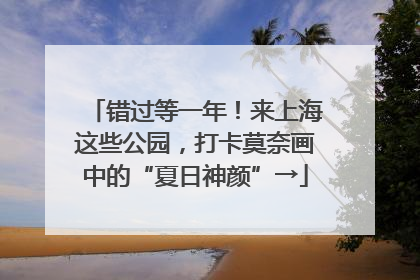 错过等一年！来上海这些公园，打卡莫奈画中的“夏日神颜”→