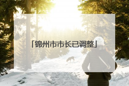 锦州市市长已调整