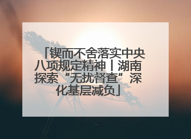 锲而不舍落实中央八项规定精神丨湖南探索“无扰督查”深化基层减负