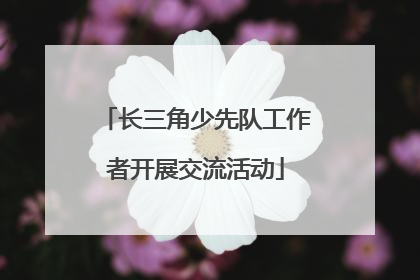 长三角少先队工作者开展交流活动