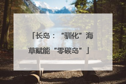 长岛：“驯化”海草赋能“零碳岛”