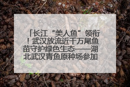 长江“美人鱼”领衔！武汉放流近千万尾鱼苗守护绿色生态——湖北武汉青鱼原种场参加2025年“全国放鱼日”增殖放流活动