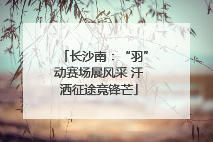 长沙南：“羽”动赛场展风采 汗洒征途竞锋芒