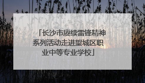 长沙市赓续雷锋精神系列活动走进望城区职业中等专业学校