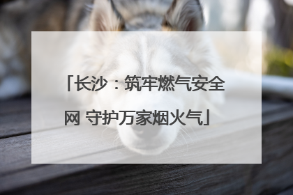 长沙：筑牢燃气安全网 守护万家烟火气