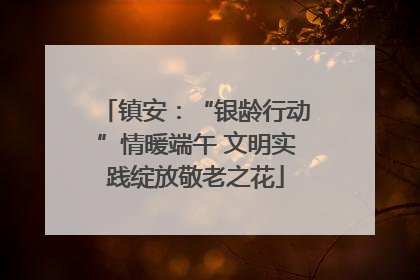镇安：“银龄行动”情暖端午 文明实践绽放敬老之花