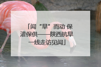 闻“旱”而动 保灌保供——陕西抗旱一线走访见闻