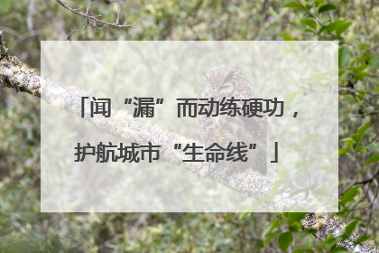 闻“漏”而动练硬功，护航城市“生命线”
