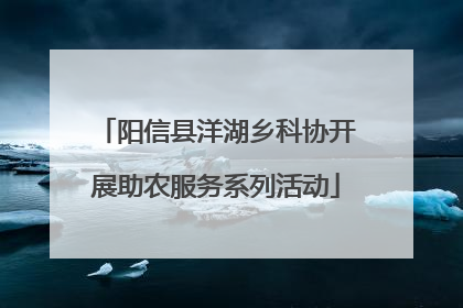 阳信县洋湖乡科协开展助农服务系列活动