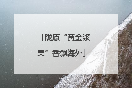 陇原“黄金浆果”香飘海外