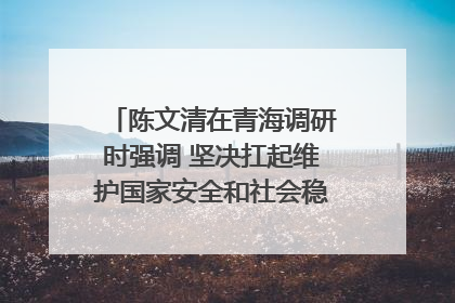 陈文清在青海调研时强调 坚决扛起维护国家安全和社会稳定职责使命 为谱写中国式现代化青海篇章贡献政法力量