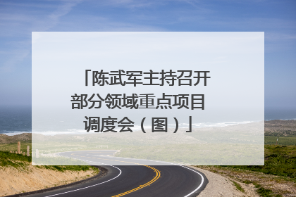 陈武军主持召开部分领域重点项目调度会（图）