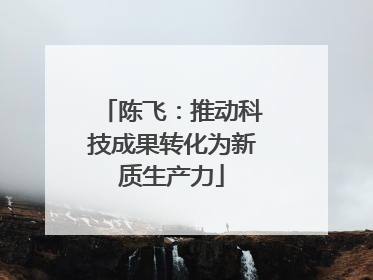 陈飞：推动科技成果转化为新质生产力