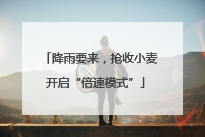 降雨要来，抢收小麦开启“倍速模式”