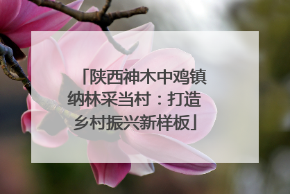 陕西神木中鸡镇纳林采当村：打造乡村振兴新样板