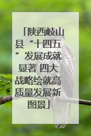 陕西岐山县“十四五”发展成就显著 四大战略绘就高质量发展新图景