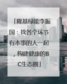 隆基绿能李振国：找各个环节有本事的人一起，构建健康的BC生态圈