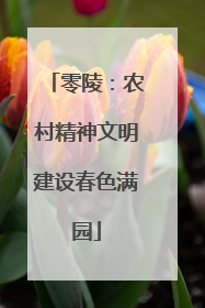 零陵：农村精神文明建设春色满园