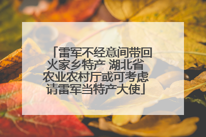 雷军不经意间带回火家乡特产 湖北省农业农村厅或可考虑请雷军当特产大使