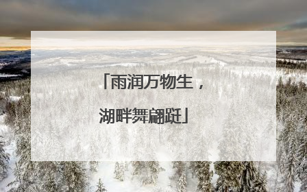 雨润万物生，湖畔舞翩跹