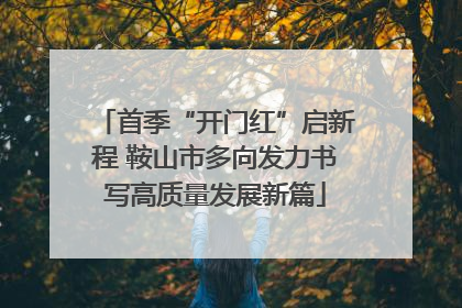 首季“开门红”启新程 鞍山市多向发力书写高质量发展新篇