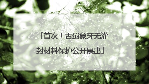 首次！古蜀象牙无灌封材料保护公开展出