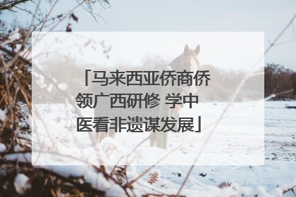 马来西亚侨商侨领广西研修 学中医看非遗谋发展