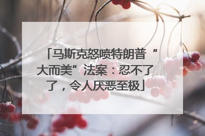 马斯克怒喷特朗普“大而美”法案：忍不了了，令人厌恶至极