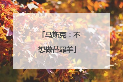 马斯克：不想做替罪羊