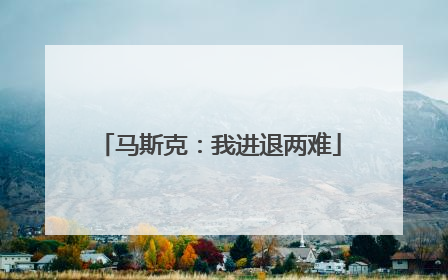 马斯克：我进退两难