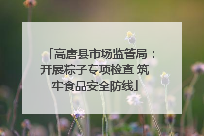高唐县市场监管局：开展粽子专项检查 筑牢食品安全防线
