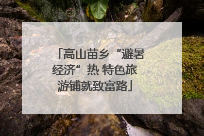 高山苗乡“避暑经济”热 特色旅游铺就致富路
