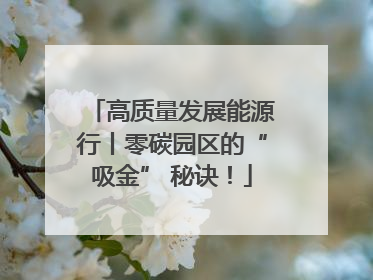 高质量发展能源行丨零碳园区的“吸金” 秘诀！