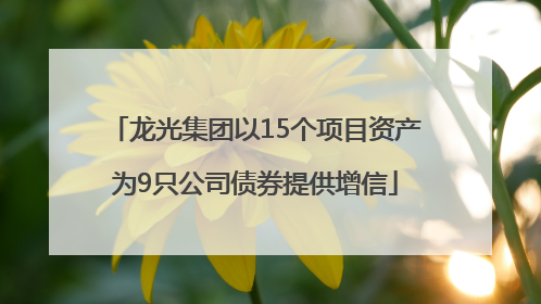 龙光集团以15个项目资产为9只公司债券提供增信