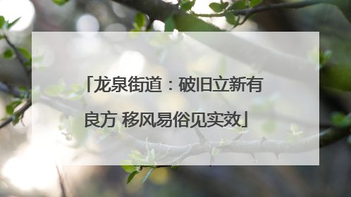 龙泉街道：破旧立新有良方 移风易俗见实效