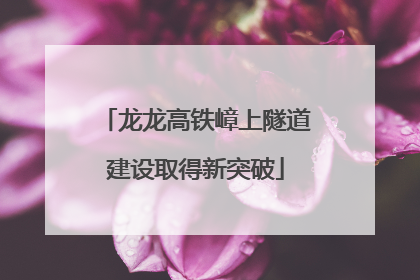 龙龙高铁嶂上隧道建设取得新突破
