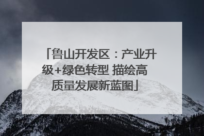鲁山开发区：产业升级+绿色转型 描绘高质量发展新蓝图