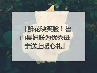 鲜花映笑脸！鲁山县妇联为优秀母亲送上暖心礼