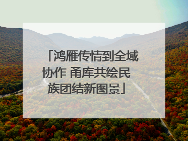 鸿雁传情到全域协作 甬库共绘民族团结新图景
