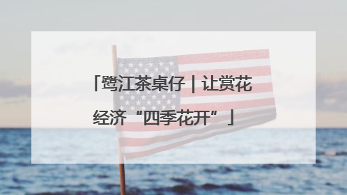 鹭江茶桌仔｜让赏花经济“四季花开”