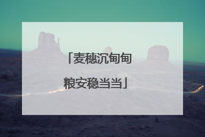 麦穗沉甸甸 粮安稳当当