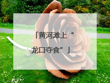 黄河滩上“龙口夺食”