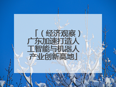 （经济观察）广东加速打造人工智能与机器人产业创新高地