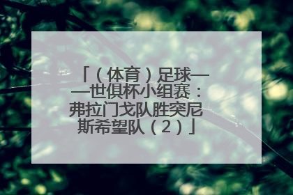 （体育）足球——世俱杯小组赛：弗拉门戈队胜突尼斯希望队（2）
