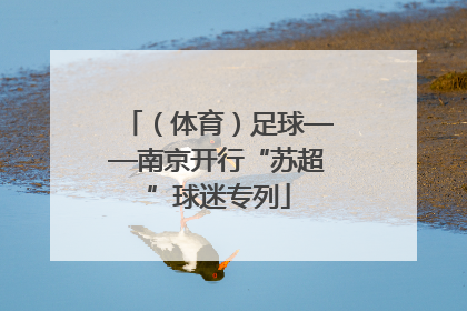 （体育）足球——南京开行“苏超”球迷专列