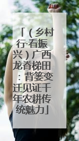 （乡村行·看振兴）广西龙脊梯田：背篓变迁见证千年农耕传统魅力