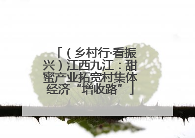 （乡村行·看振兴）江西九江：甜蜜产业拓宽村集体经济“增收路”