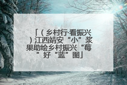 （乡村行·看振兴）江西靖安“小”浆果助绘乡村振兴“莓”好“蓝”图